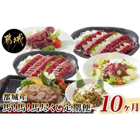 ふるさと納税 都城産馬!馬!馬尽くし定期便(10ヵ月)_T80(10)-0101_(都城市) 定期便...