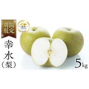 ふるさと納税 【 JA 北つくば 】 筑西ブランド 認証品 幸水 5kg 2026年産 先行予約 [AE008ci] 茨城県筑西市