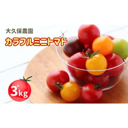 ふるさと納税 大久保農園の☆新鮮☆カラフルミニトマト詰合せ3kg 北海道仁木町