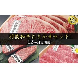 ふるさと納税 羽後和牛 部位おまかせ 牛肉 秋田県産 羽後和牛【定期便12ヶ月】 秋田県羽後町