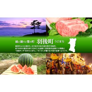 ふるさと納税 羽後和牛 部位おまかせ 牛肉 秋...の詳細画像4