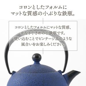 ふるさと納税 【ふるさと納税限定カラー】南部鉄...の詳細画像1
