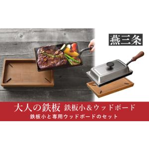 TCFL-8B 【タニコー】 電気フライヤー 4〜8L ミニ卓上タイプ フライ用