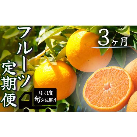 ふるさと納税 湯の花　旬のフルーツセット３か月間の定期便 静岡県南伊豆町