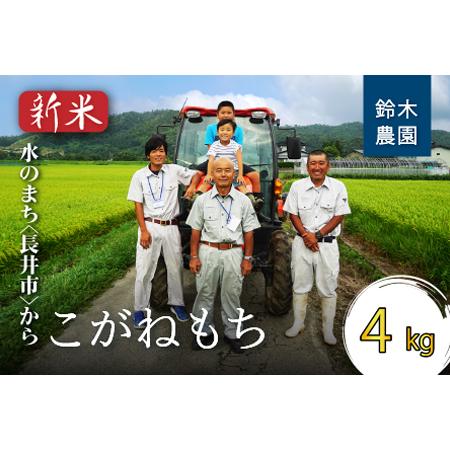 ふるさと納税  【令和5年産新米】【特別栽培米】【もち米】鈴木・ファーム「こがねもち」4kg(2kg...