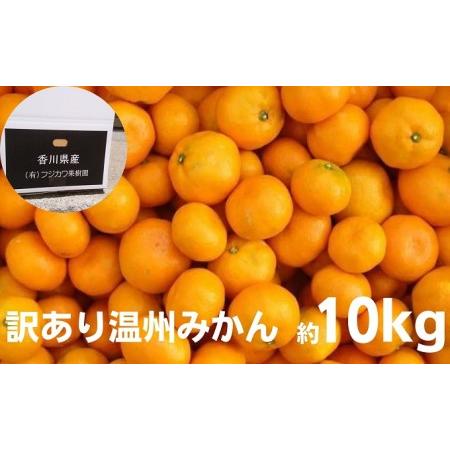 ふるさと納税 2026年秋よりお届け 訳あり！！温州みかん 約10kg 果物類 柑橘類 フルーツ  ...