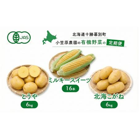 ふるさと納税 小笠原農園の有機野菜 定期便 夏「とうもろこし」ミルキースイーツ16本・秋「じゃがいも...