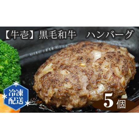 ふるさと納税 No.147 【牛壱】黒毛和牛ハンバーグ5個（約150g×5個） 大阪府藤井寺市