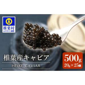 ふるさと納税 【世界三大珍味×日本三大秘境】HEIKE CAVIAR 500g 【20g×25個】【産地直送】国産 チョウザメ キャビア 500g 魚卵 魚介 .. 宮崎県椎葉村