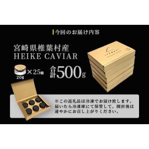 ふるさと納税 【世界三大珍味×日本三大秘境】H...の詳細画像1
