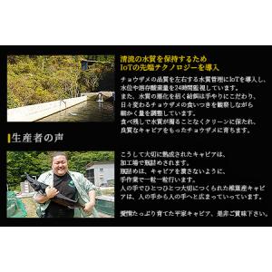 ふるさと納税 【世界三大珍味×日本三大秘境】H...の詳細画像4