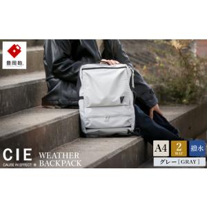 ふるさと納税 豊岡鞄 CIE WEATHER 2WAY BACKPACK（071952）ミストグレー / 木和田正昭商店 撥水 ビジネス ストリート バックパック リュックサッ.. 兵庫県豊岡市