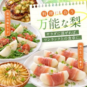 ふるさと納税 二十世紀梨 訳あり 3キロ(砂丘...の詳細画像1