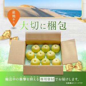 ふるさと納税 二十世紀梨 訳あり 3キロ(砂丘...の詳細画像2
