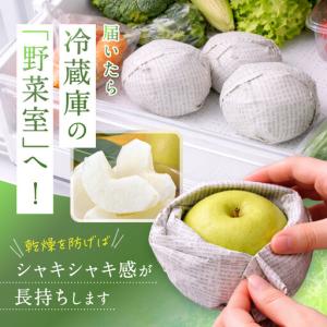 ふるさと納税 二十世紀梨 訳あり 3キロ(砂丘...の詳細画像3