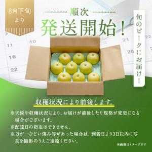 ふるさと納税 二十世紀梨 訳あり 3キロ(砂丘...の詳細画像4