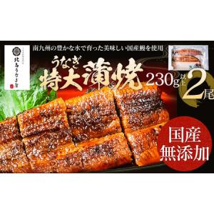 ふるさと納税 うなぎの特大蒲焼（2尾）230g以上×2尾　AE04 福岡県大木町｜furunavi