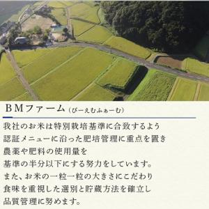 ふるさと納税 米の食味ランキング3年連続「特A...の詳細画像3