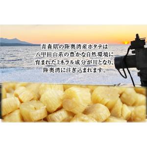 ふるさと納税 陸奥湾産ほたて干し貝柱(Sサイズ...の詳細画像1