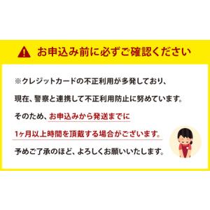 ふるさと納税 光除菌 !! マスククリーン M...の詳細画像2