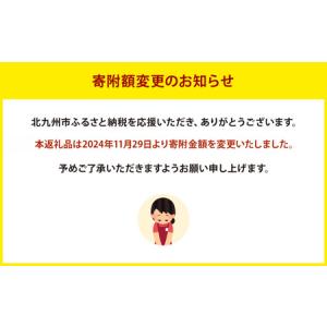ふるさと納税 光除菌 !! マスククリーン M...の詳細画像3