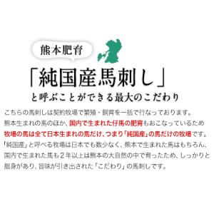 ふるさと納税 馬刺し 上赤身 600g 馬刺し...の詳細画像2