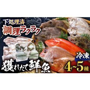 ふるさと納税 旬の獲れたて鮮魚冷凍4-5種類【株式会社...