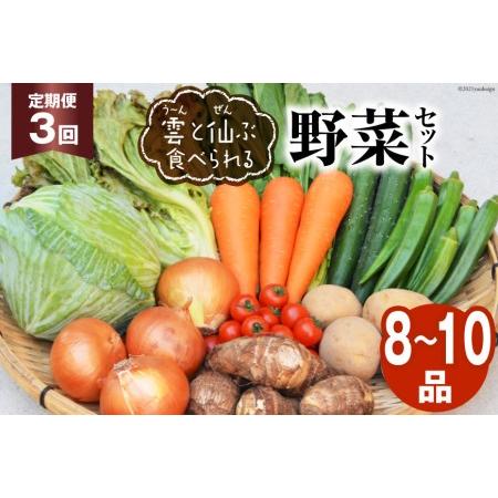 ふるさと納税 【定期便3回】雲（う〜ん）と仙（ぜん）ぶ食べられる野菜セット（8〜10品）＜肥前グロー...