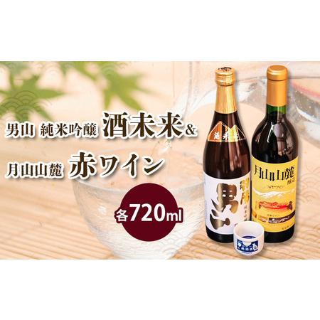 ふるさと納税 純米吟醸＆赤ワイン 720ml×2本セット FZ23-234 山形県山形市