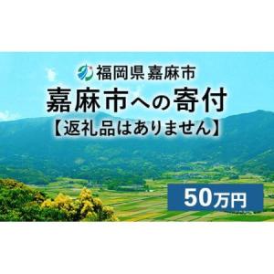 ふるさと納税 【ふるさと納税】嘉麻市への寄付 50万円（返礼品はありません） 福岡県嘉麻市