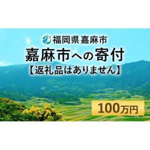 ふるさと納税 【ふるさと納税】嘉麻市への寄付 100万円（返礼品はありません） 福岡県嘉麻市