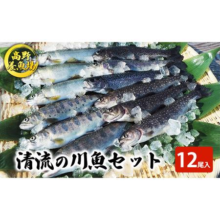 ふるさと納税 清流の川魚 セット 12尾入 （ヤマメ・イワナ・ニジマス・アユ） （ 魚 12尾 ヤマ...