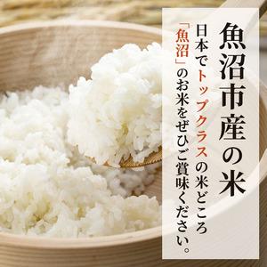 ふるさと納税 無洗米 定期便 6ヶ月 コシヒカ...の詳細画像1