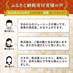 ふるさと納税 無洗米 定期便 6ヶ月 コシヒカ...の詳細画像2