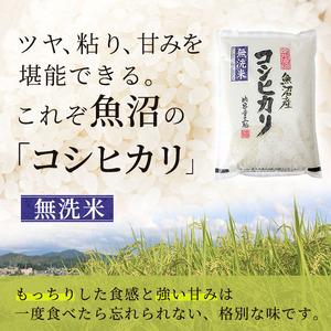 ふるさと納税 無洗米 定期便 6ヶ月 コシヒカ...の詳細画像3