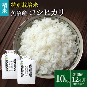 ふるさと納税 米農家自慢の特別栽培米魚沼産コシヒ...の商品画像