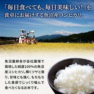 ふるさと納税 米農家自慢の特別栽培米魚沼産コシ...の詳細画像2
