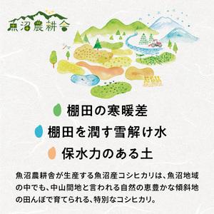 ふるさと納税 米農家自慢の特別栽培米魚沼産コシ...の詳細画像3