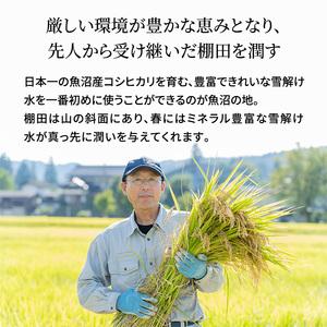 ふるさと納税 米農家自慢の特別栽培米魚沼産コシ...の詳細画像4