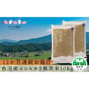 ふるさと納税 【定期便】さくらや農園 魚沼産コシ...の商品画像