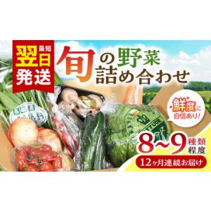 ふるさと納税 【12回定期便】諫早産野菜の詰め合わせ(8?9品目程度) / 季節 旬 野菜 春野菜 夏野菜 秋野菜  / 諫早市 / 肥前グローカル株式会社 [.. 長崎県諫早市｜furunavi