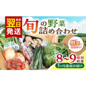 ふるさと納税 【3回定期便】諫早産野菜の詰め合わせ(8?9品目程度) / 季節 旬 野菜 春野菜 夏野菜 秋野菜  / 諫早市 / 肥前グローカル株式会社[AH.. 長崎県諫早市｜ふるなび(ふるさと納税)