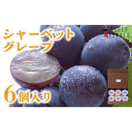 ふるさと納税 【すっきりした甘さ】ベルヘラルドシャーベットグレープ 6個入 なめらか食感 スイーツ ...