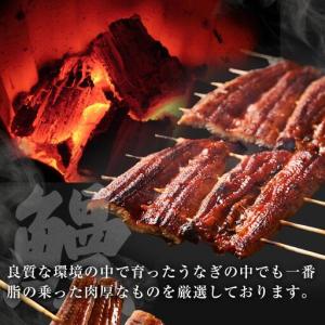 ふるさと納税 国産特大うなぎ ひつまぶしセット...の詳細画像2