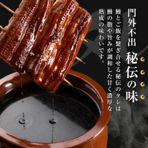 ふるさと納税 国産特大うなぎ ひつまぶしセット...の詳細画像3