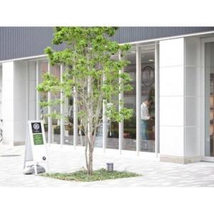 ふるさと納税 手縫い高級紳士靴 愛知県名古屋市の詳細画像1