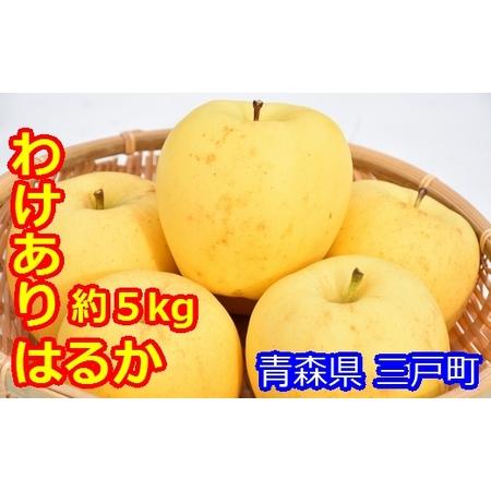 ふるさと納税 【訳あり】高級りんご「はるか」12〜20玉（約5kg）【2024年産・先行予約】 青森...