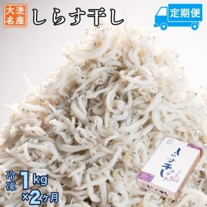 ふるさと納税 定期便 しらす干し (1kg×2か月) しらす _AG051 茨城県大洗町