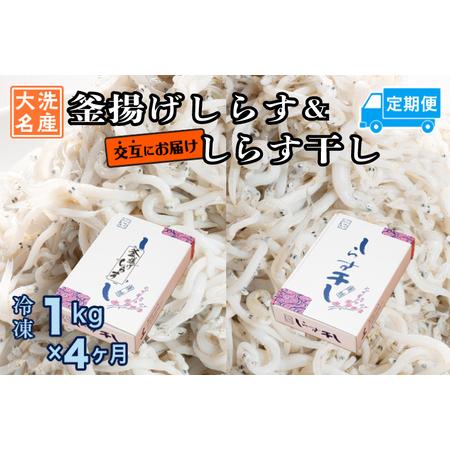 ふるさと納税 釜揚げしらす しらす干し 交互 定期便 (1kg×4か月) しらす _AG063 茨城...