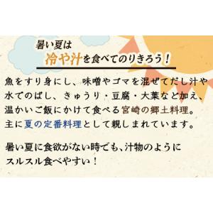 ふるさと納税 <宮崎郷土料理 冷や汁 10個セ...の詳細画像4